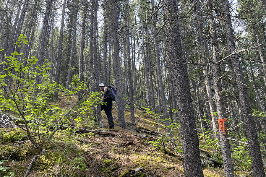 Somebody else has been here!