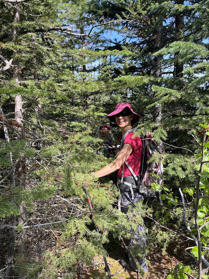 That's one way to scratch an itch!