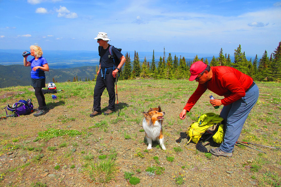 The dog knows where that hand has been...
