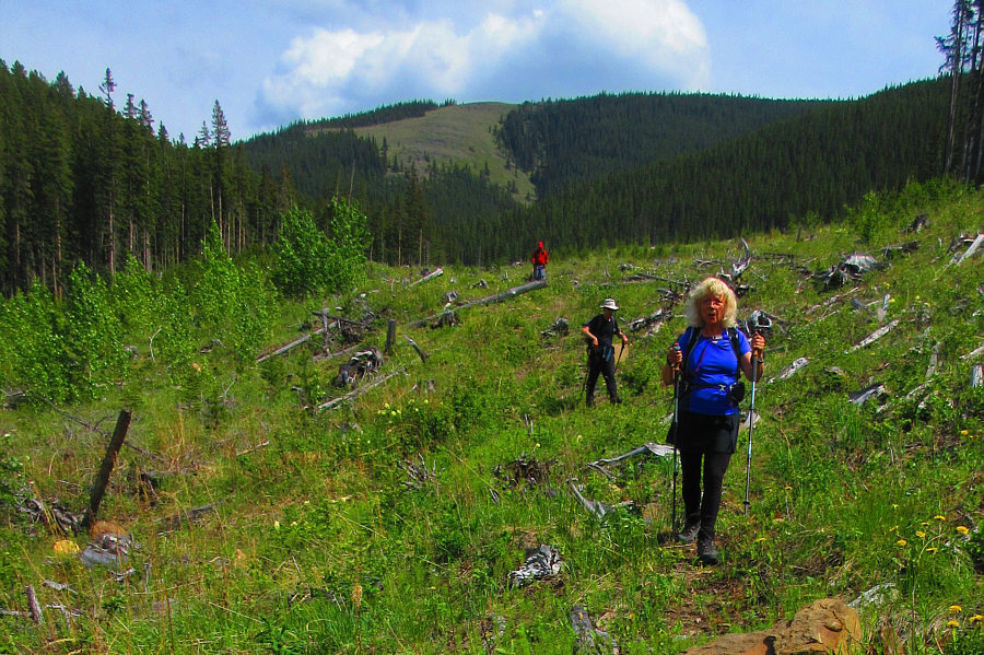 The hot sun is getting to be unbearable...