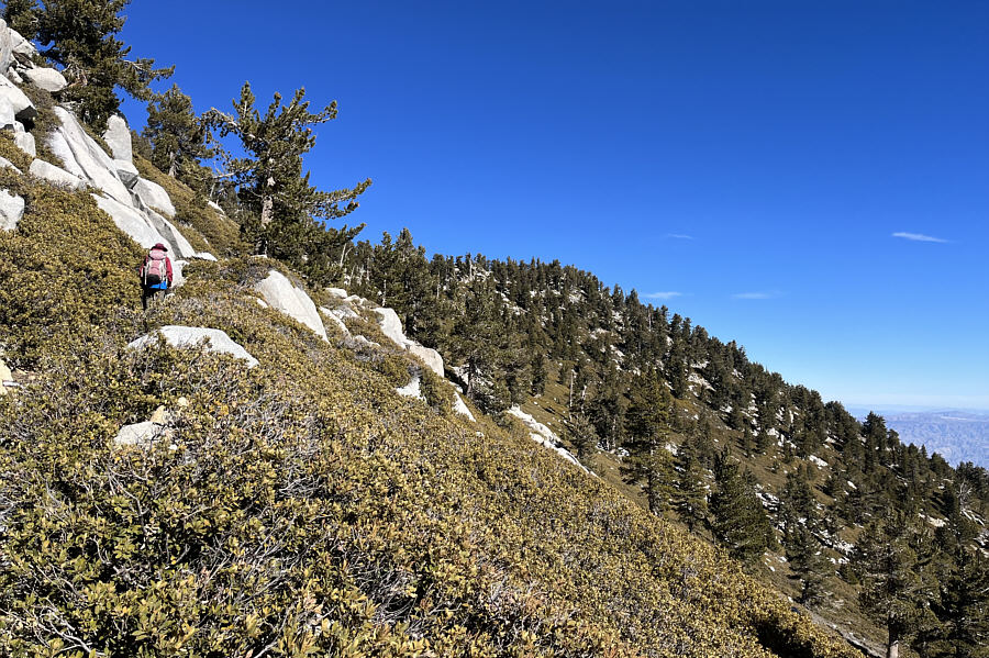 Doesn't look like much of a worthwhile summit from here!