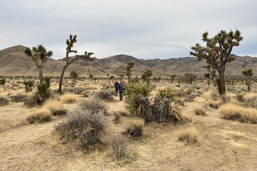 An easy warm-up walk!