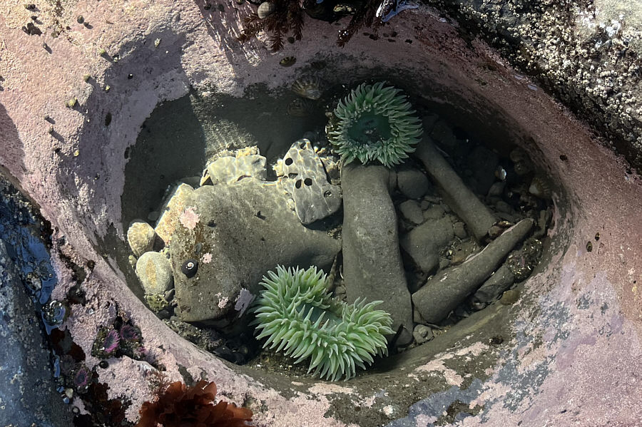 It's not that easy being green!