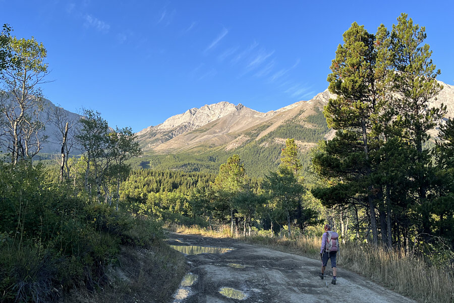 I could've probably driven a bit further, but the approach isn't long.