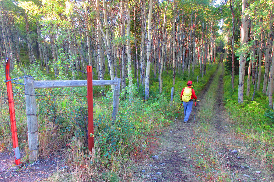Excellent short cut!