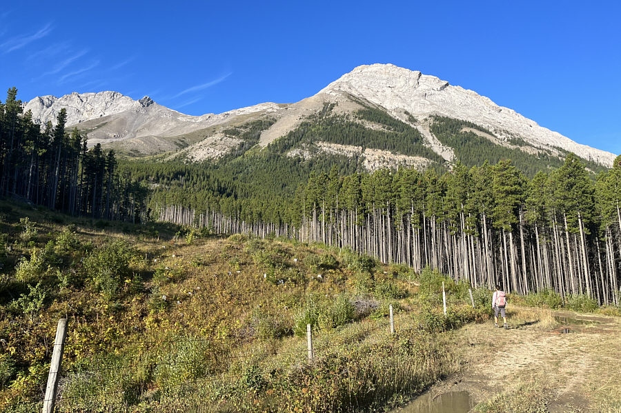 We're already gaining some elevation here!