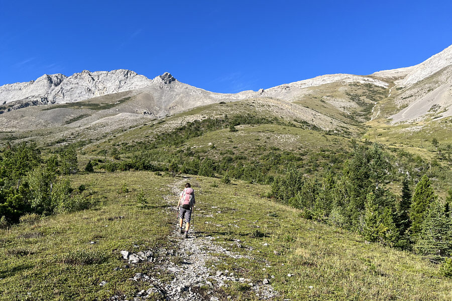 This hill would be a fine half-day hike if time and energy are limited.