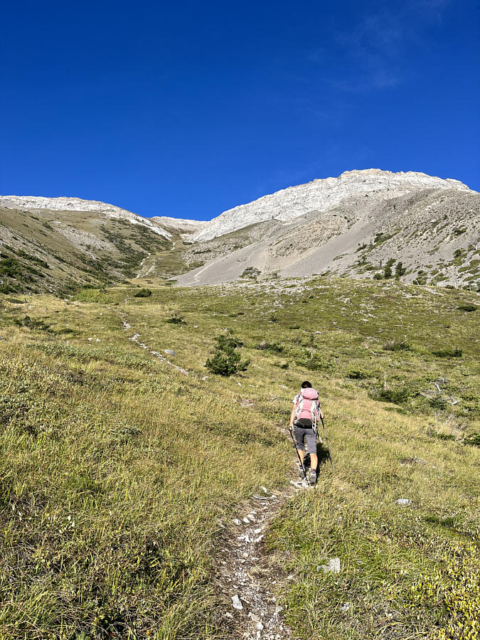 Let the grind begin!