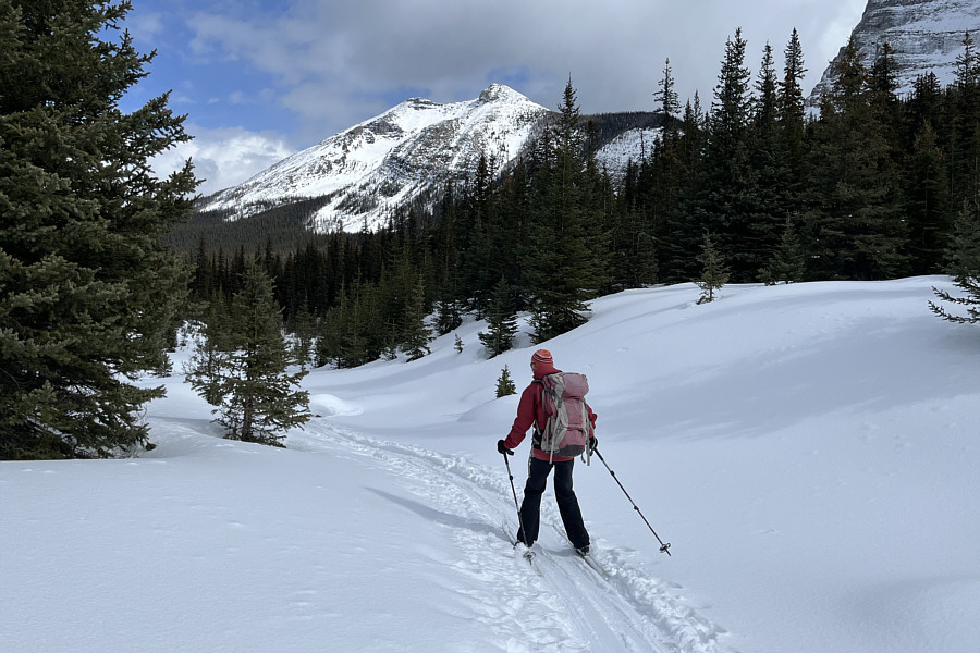 Mostly downhill but still not that easy to ski out!