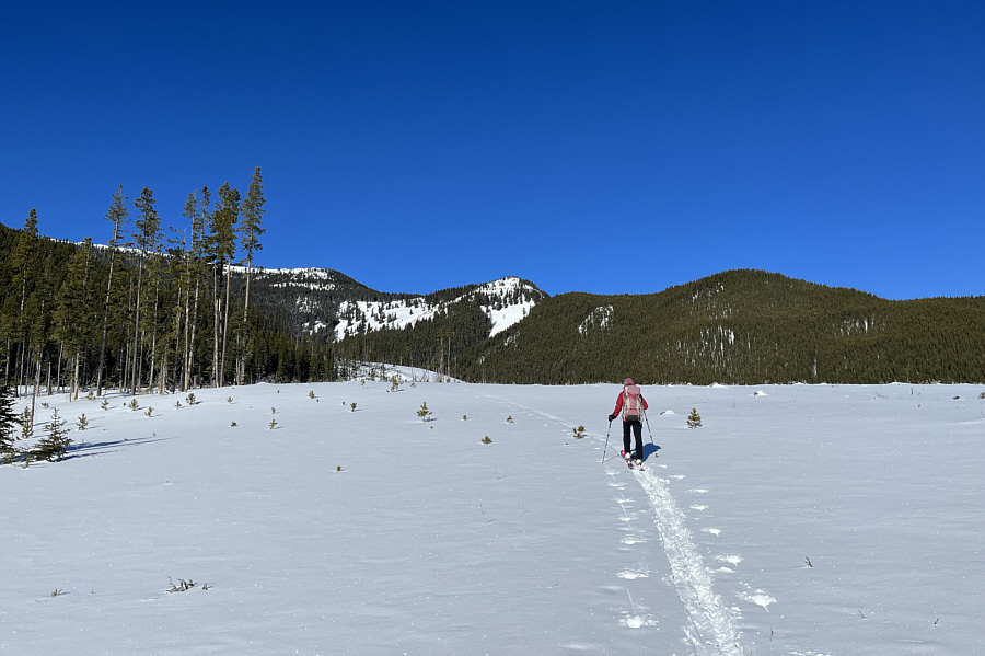 We're making good progress!