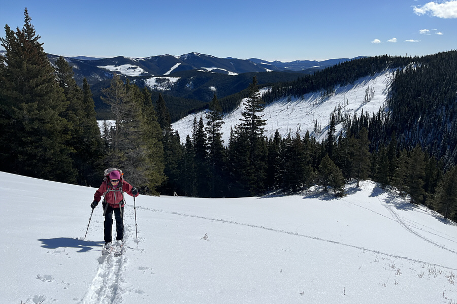 The top of the cut block appears to be some skiers' "secret stash"!
