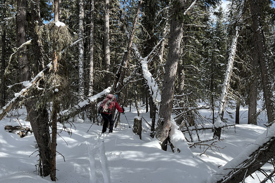 Challenging but also kinda fun!