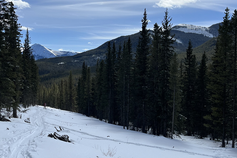 Watch out for "sharks" here!