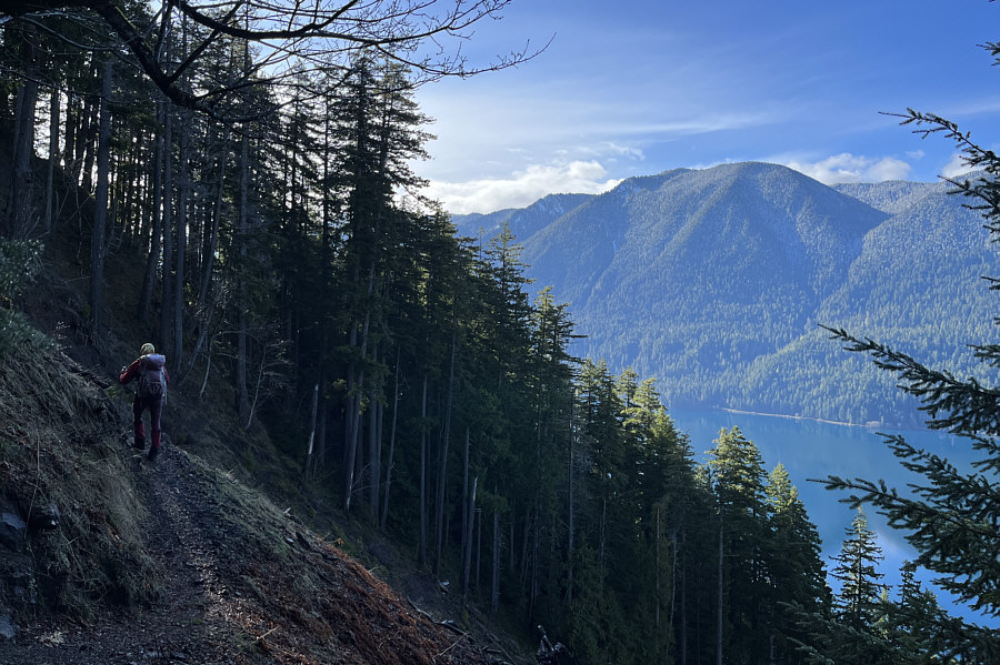 Well, it's better than looking at tree trunks!