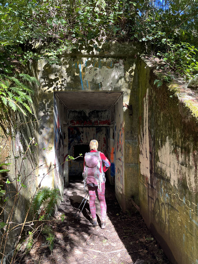 The place definitely had a creepy vibe!