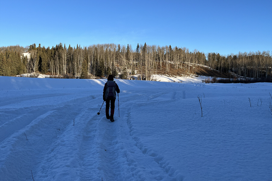 There's almost enough snow for ski touring here...almost...