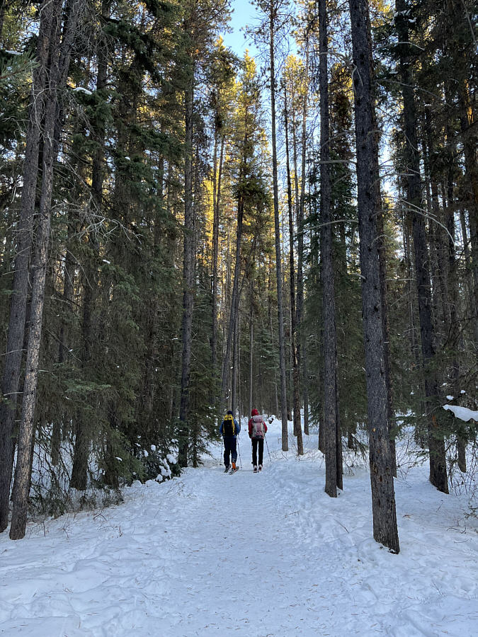 Flick on the cruise control...