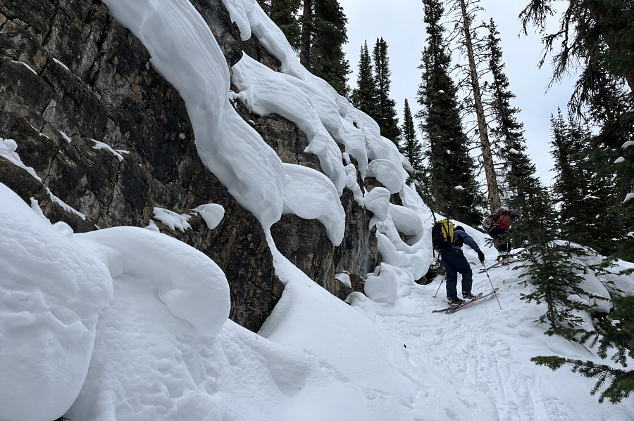 It probably would have been easier just to walk this part both up and down!