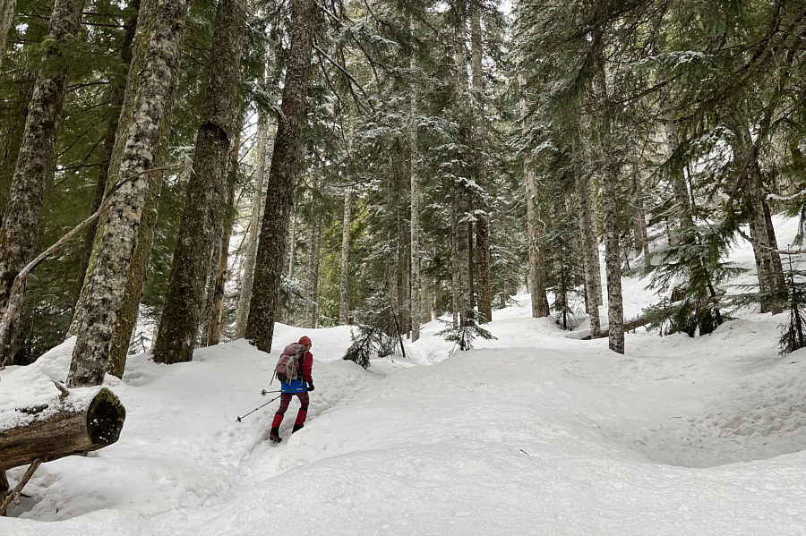 We would not have made it up without the trail being broken.
