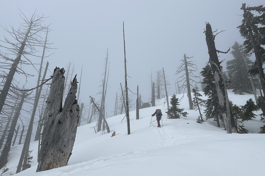 Great ski terrain...if you're willing to haul your skis up here!
