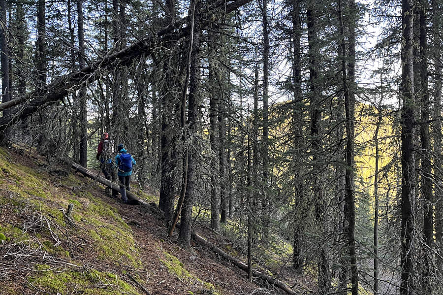 Would be tricky to follow if snow-covered.