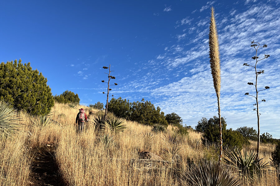 And now you know the difference!