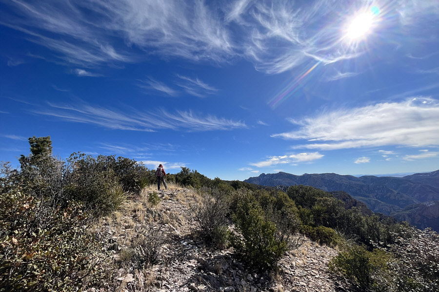 Some light bushwhacking but not too bad.