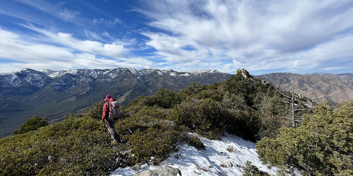 Yes, the lookout is definitely higher!