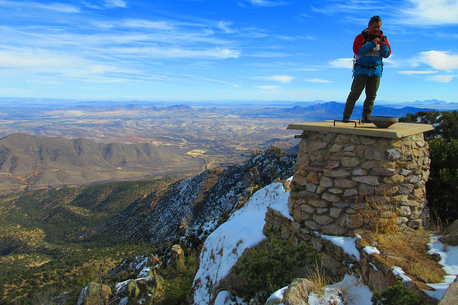 There was a dead lizard floating inside the water tank.