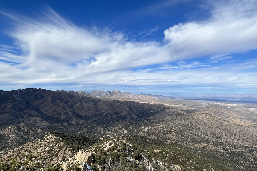 Now on my to-do list for the future!