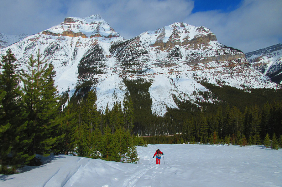 I feel like I climbed Mount Whymper in a different life...