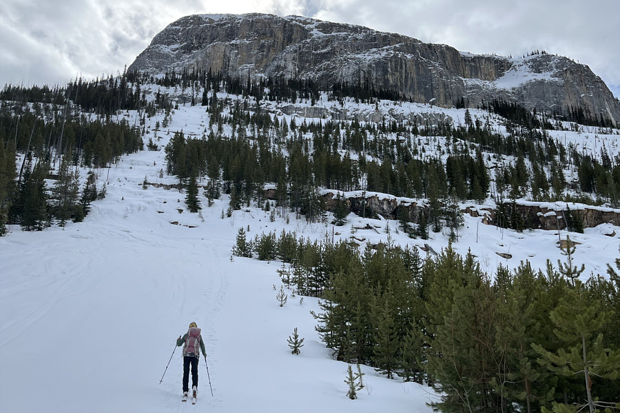 Had the snow been better, we might have considered climbing a little higher.
