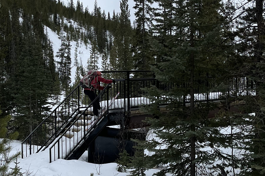 She made it up here but had to remove her skis on the other side.