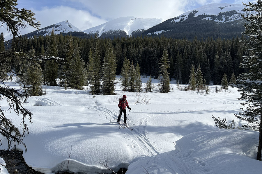 It's almost like playing Russian roulette at this time of year!