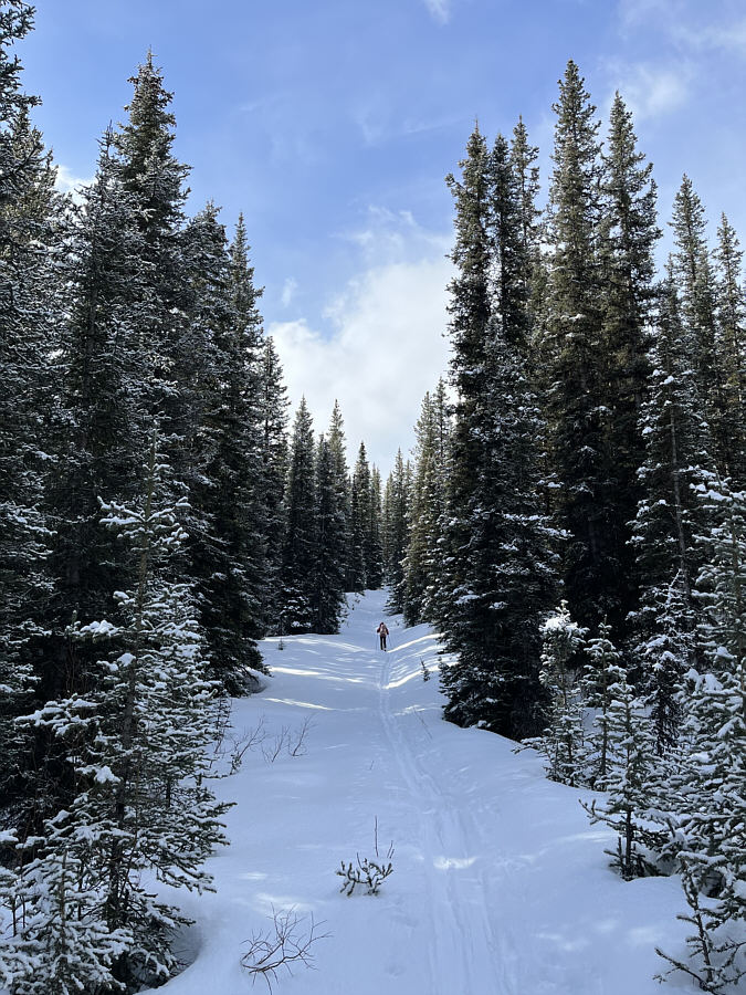 On the road again...