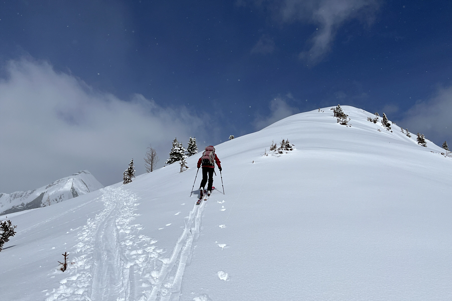 I guess we're on our own now...