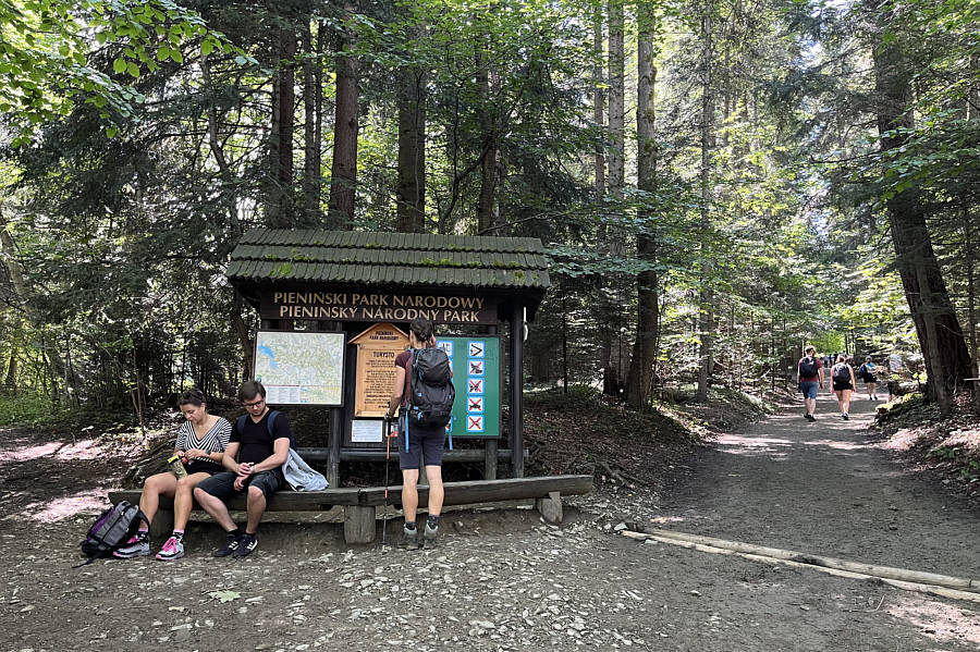 No fees required here!