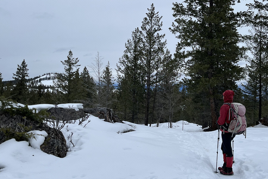 It's farther away than it looks!