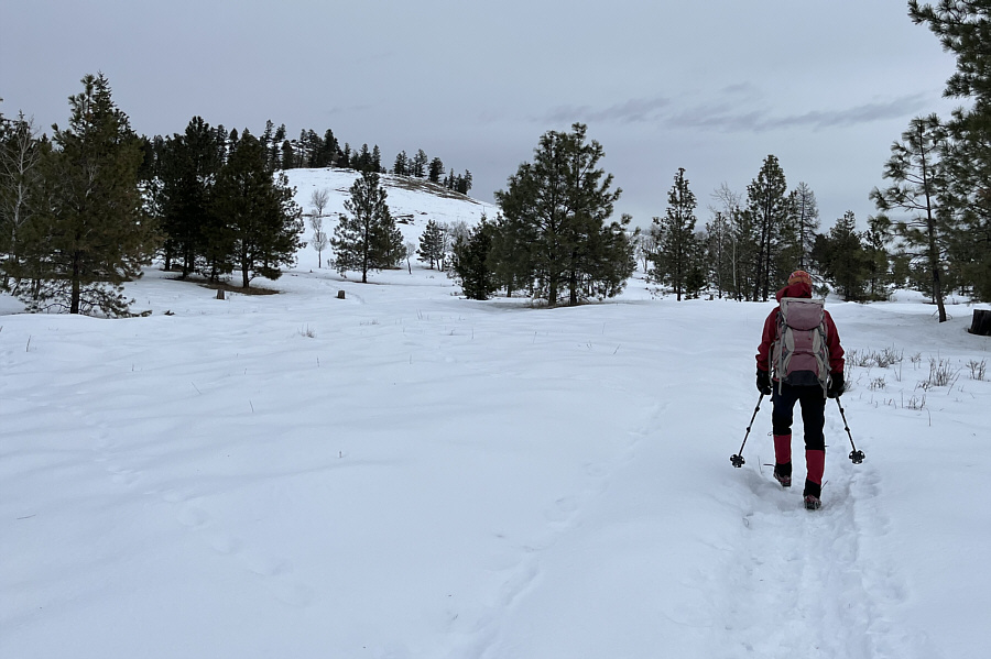 So thankful to have a broken trail!