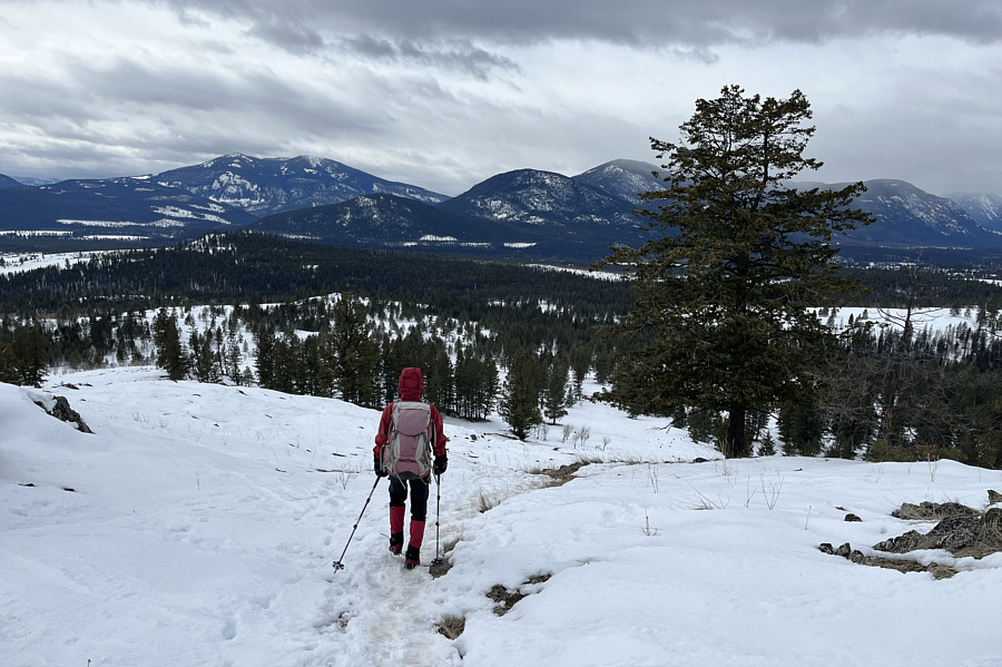 So many lowly bumps; so little time!