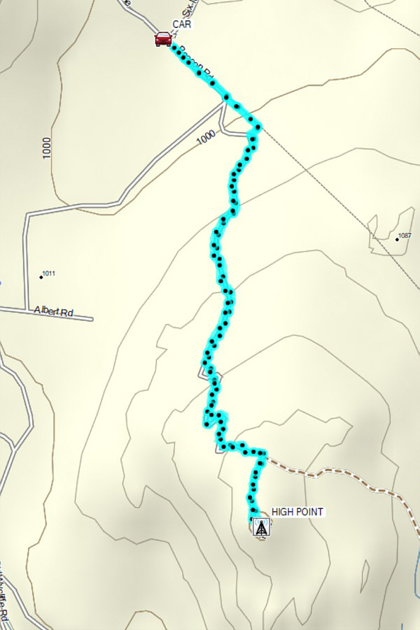 Might make for a good ski after a fresh dump of snow.