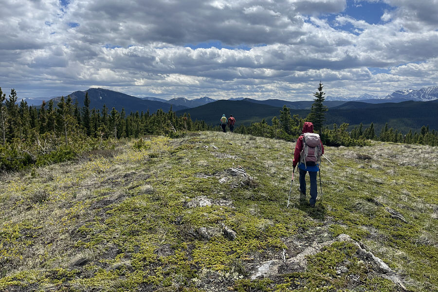Alas, the scenic views are short-lived on this hike!