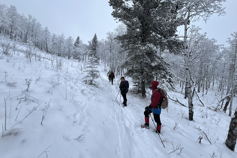 Yep, just stay in the back and follow the rest of the group!