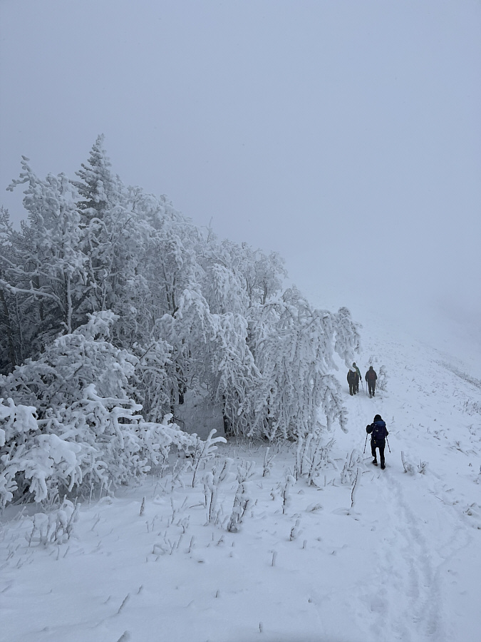 Hiking into the clouds?