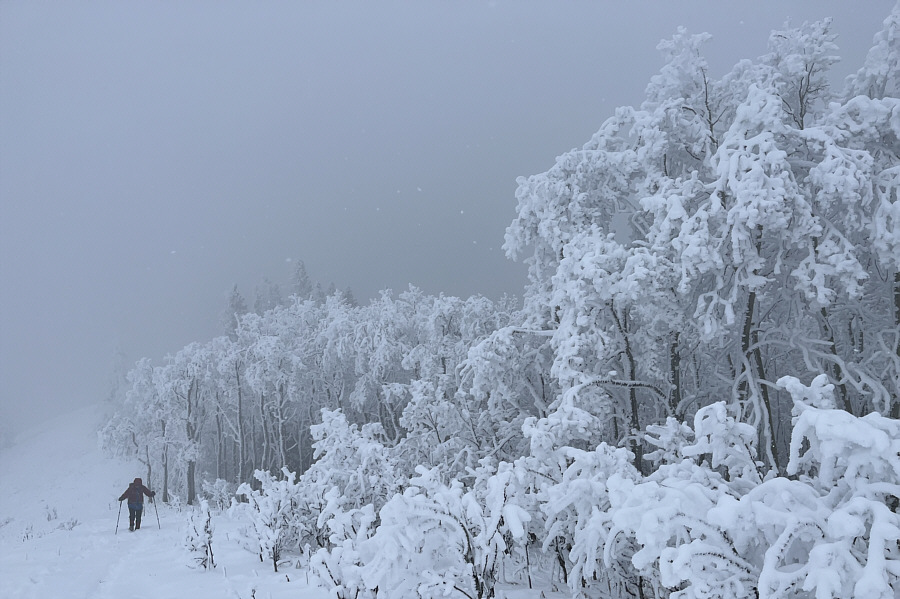 A winter wonderland even though it is actually spring!
