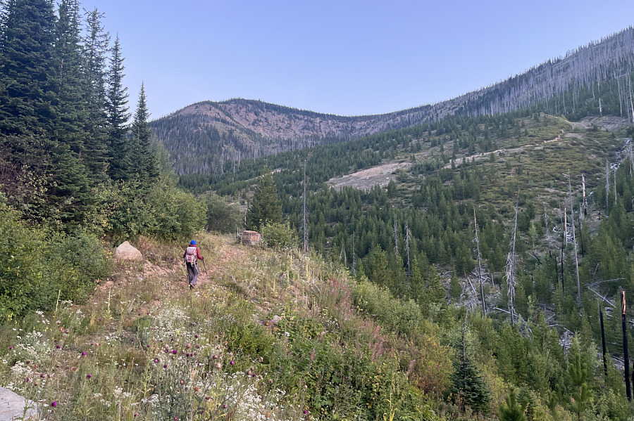 Doesn't look so bad from here...