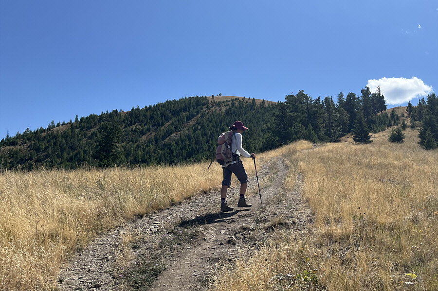 Good, I'm dying from the heat already!