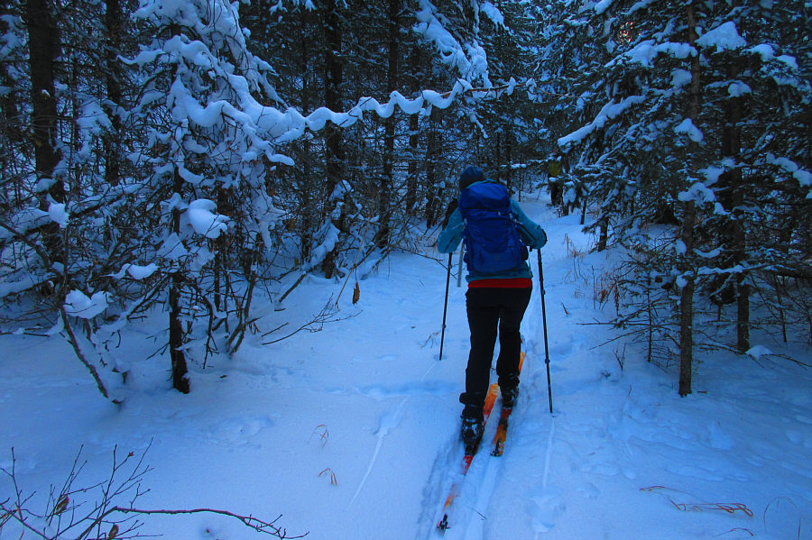 Would have been interesting to follow this trail to its end...