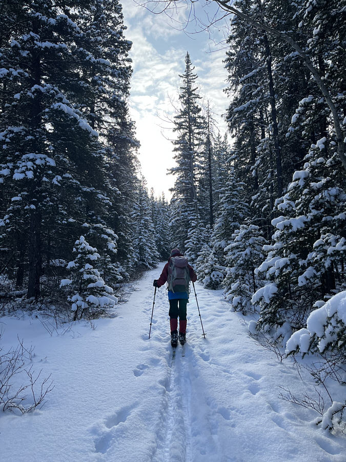 Would be kinda boring to walk this!