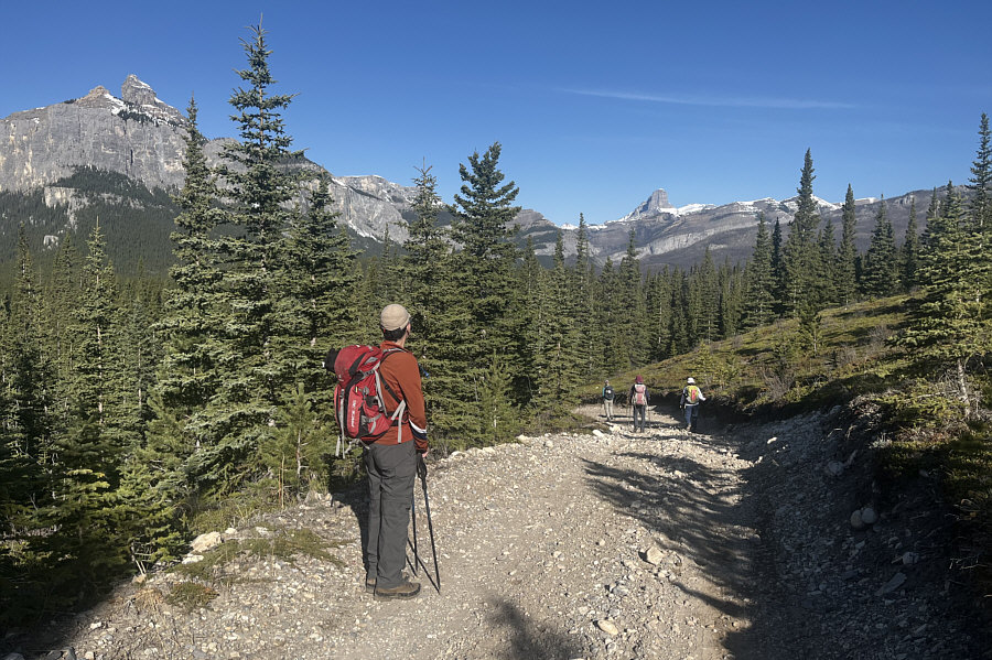 Maybe Ali wants to climb Devils Head!